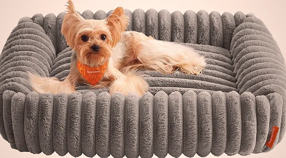 Feandrea Hundebett, Mittelgroßes Orthopädisches Hundekörbchen, Hundekissen Wasch
