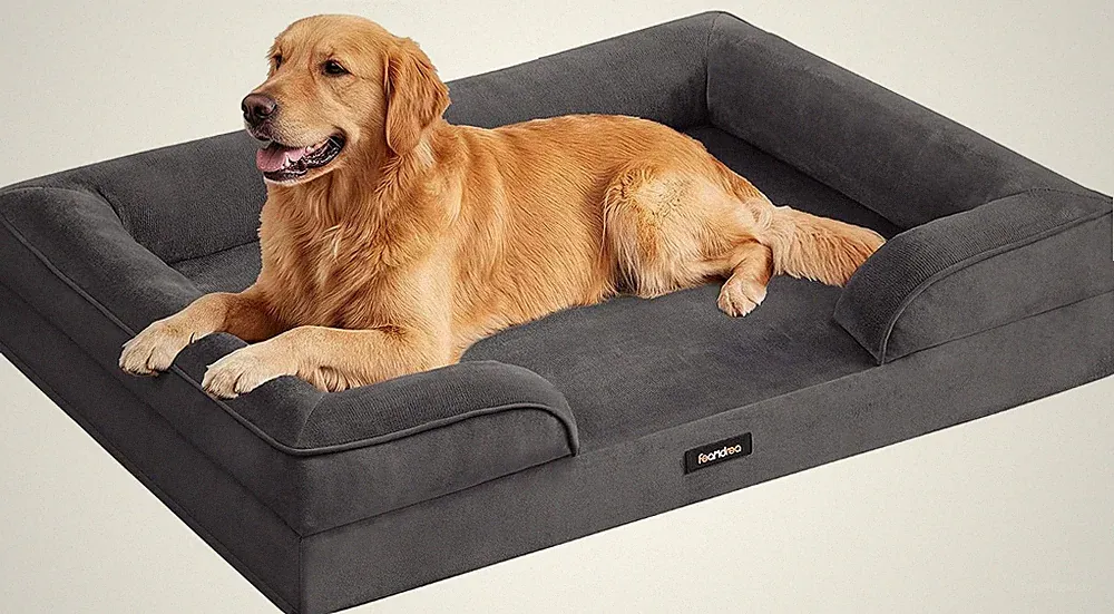 Feandrea Orthopädisches Hundebett, Hundekissen, 112 X 81 X 17 Cm