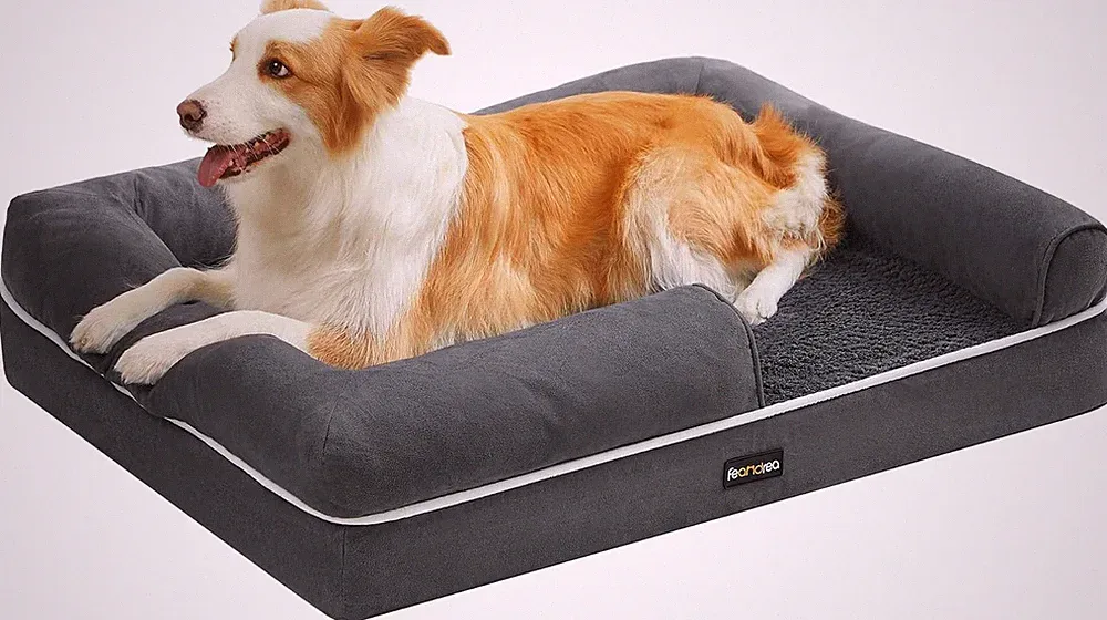Feandrea Orthopädisches Hundebett, Hundekissen, Hundekorb, Weiche Polsterung, Hu