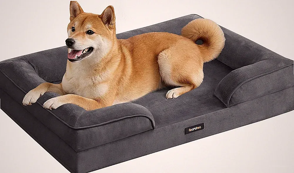Feandrea Orthopädisches Hundebett, Hundekissen L, Erhöhter Rand, Noppenschaumsto