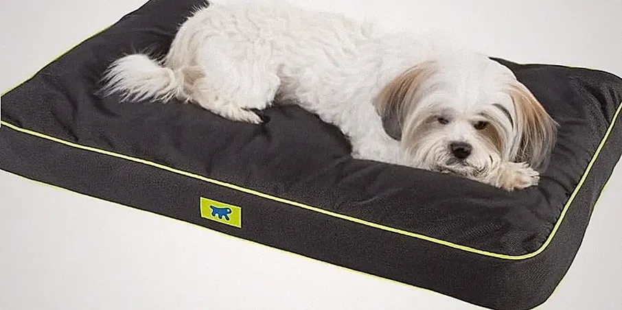 Ferplast Hundematte & Katzenmatte Klein - Orthopädisches Hundebett