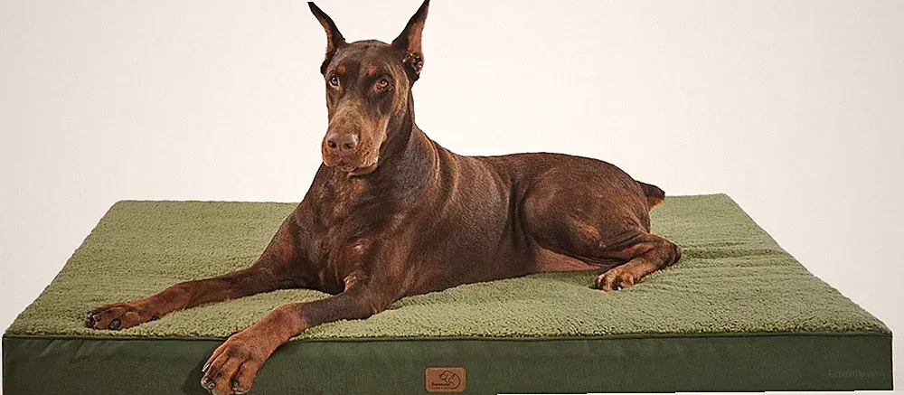 Hundebett Hundekissen Hundematte Hundematratze Hundesofa orthopädisch waschbar