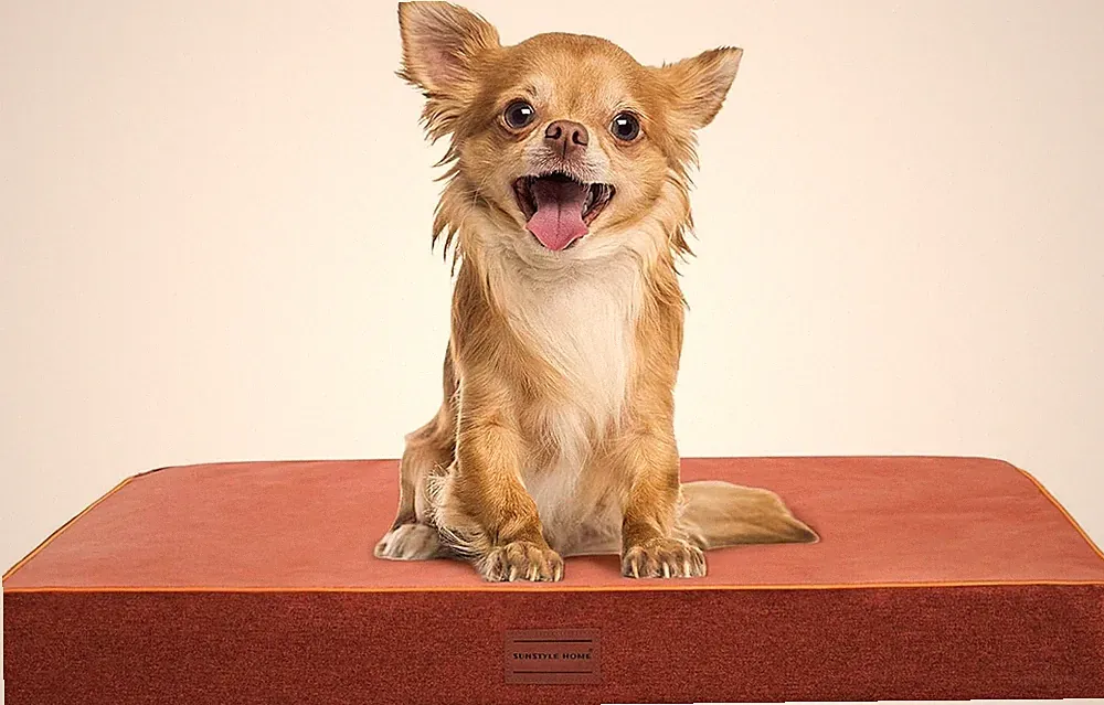 Hundebett Hundekissen Hundesofa orthopädisch Hundematte Memoryschaum Waschbares