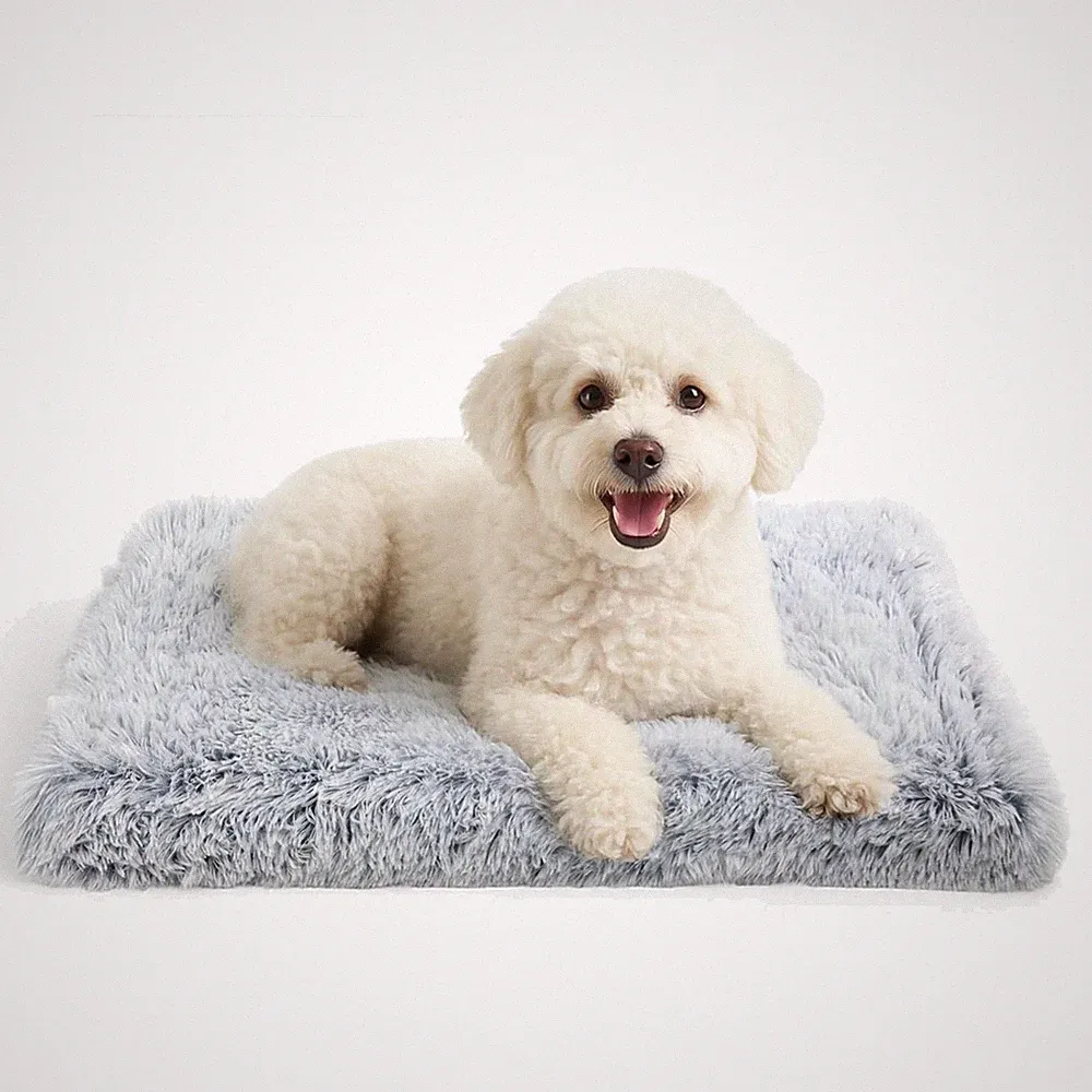 Hundebett Hundekissen Orthopädisch Flauschig Waschbar 50x40cm Hellgrau