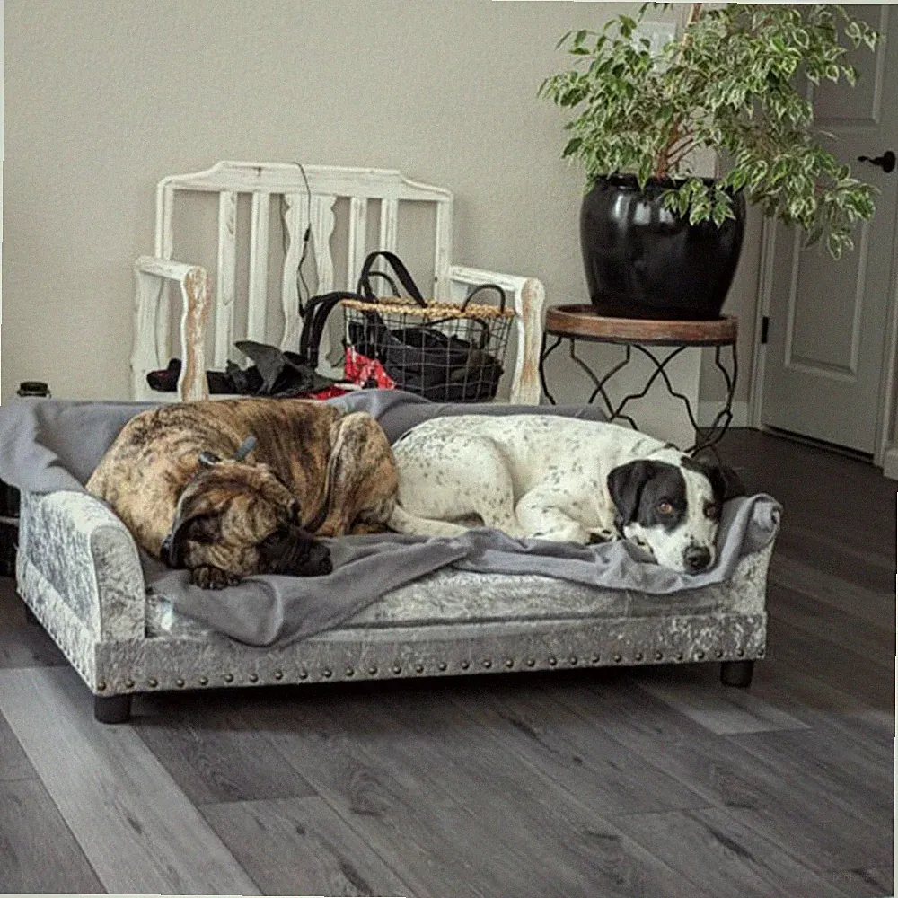 Hundebett Hundesofa Haustiersofa mit Kissen Samt Hundecouch mit Erhöhtem Design