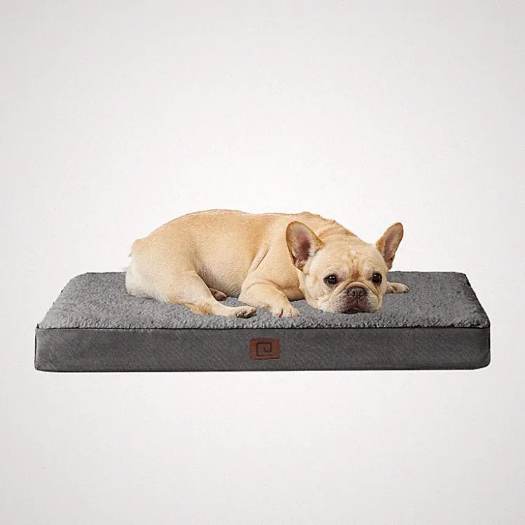 Hundebett orthopädisch 76x51x9cm kleine Hunde waschbar flauschig Hundekissen