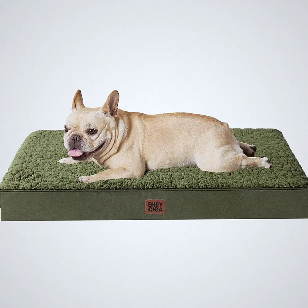 Hundebett Orthopädisch Hundekissen Hundebettchen Waschbar Katzenbett Grün