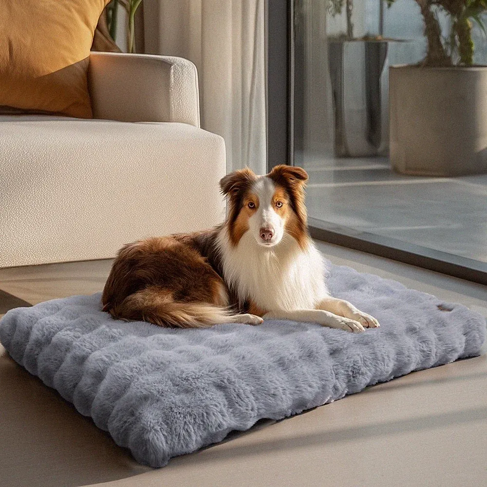 Hundebett Orthopädisch Kissen Schlafplatz für Haustiere Hundematratze Beige/Grau