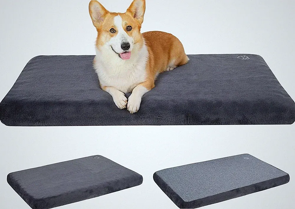 Hundebett Orthopädisch Waschbar Wasserdicht Hundekissen für Kleine Hunde Katzen