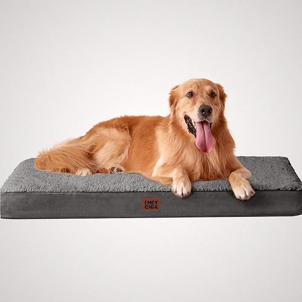 Hundebett orthopädisch XXL große Hunde waschbar grau Hundekissen