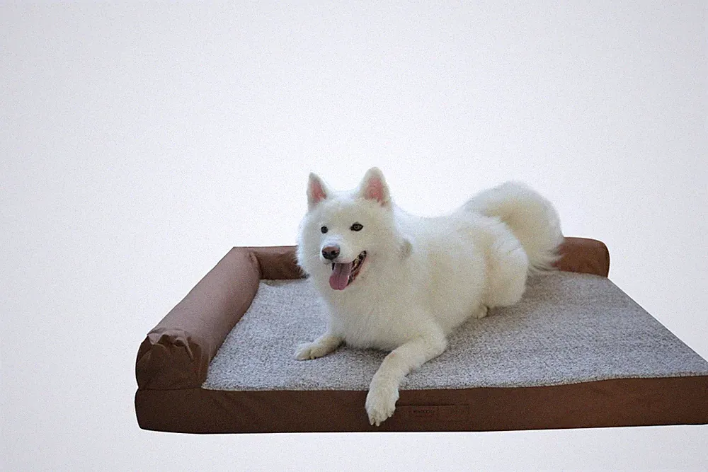 Hundebett Waschbar Orthopädisch – Weiches Hundekissen mit Rand, Anti-Rutsch