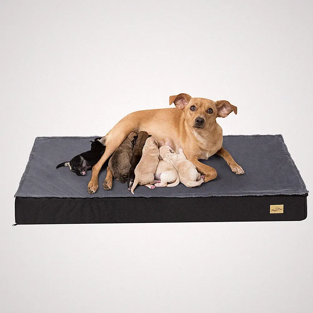 Hundebett XXL Hundekissen Orthopädisch Hundematratze Haustierbett waschbar Grau