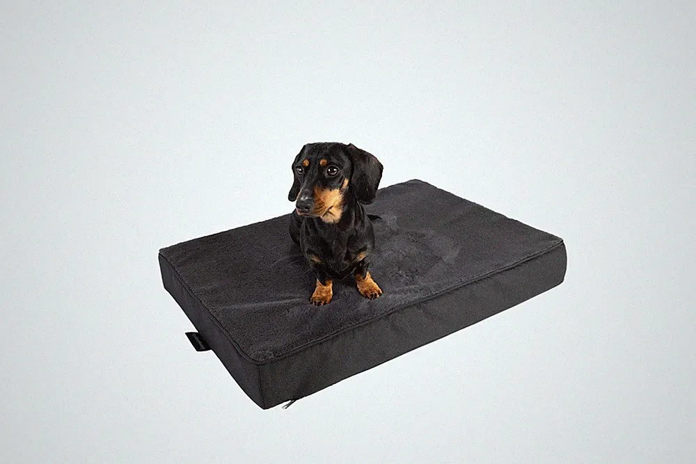 orthopädisches kissen 70 x 45 hunde