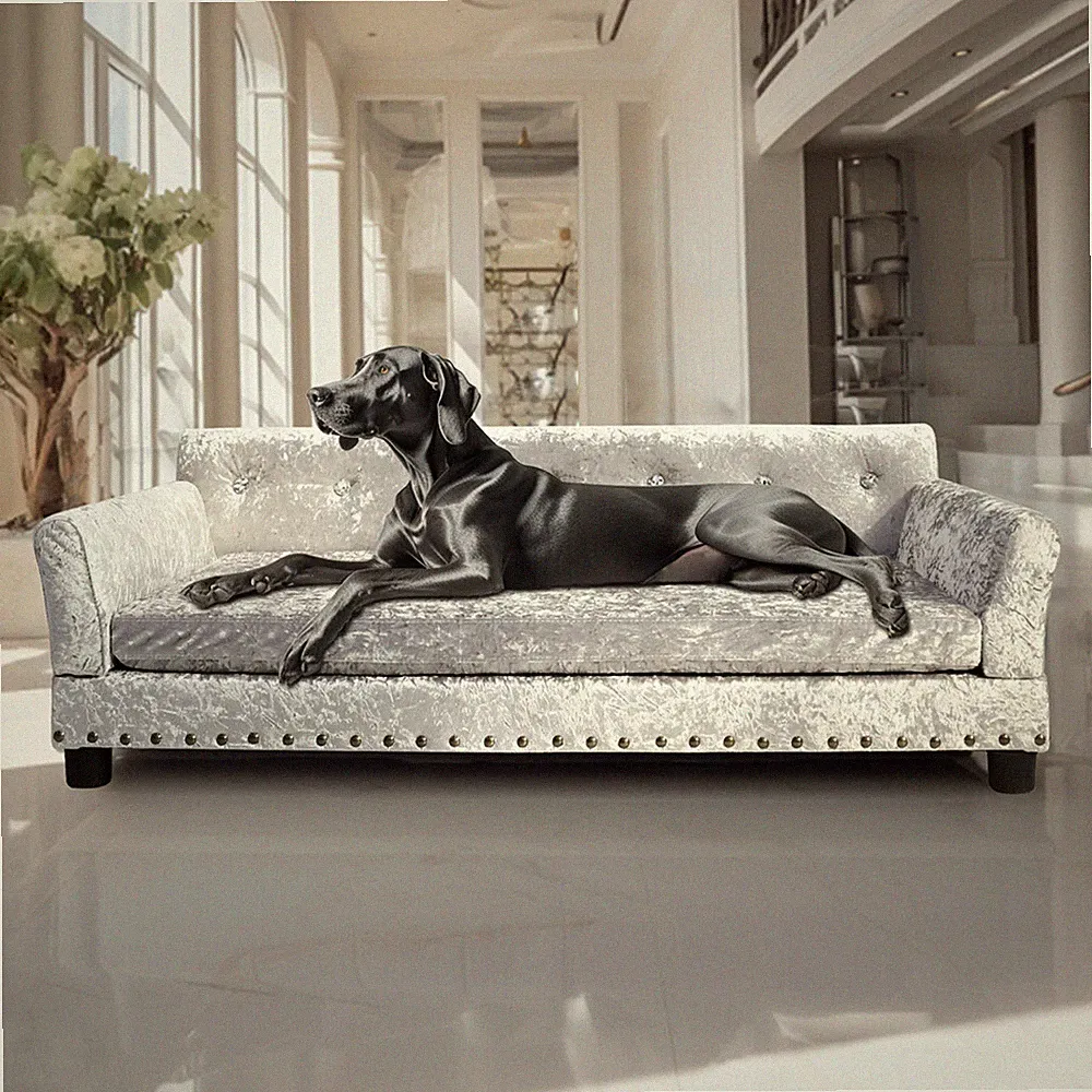 Hundesofa Samt Hundesessel Hundebett edel Mordern Haustiersofa Hundecouch Kissen