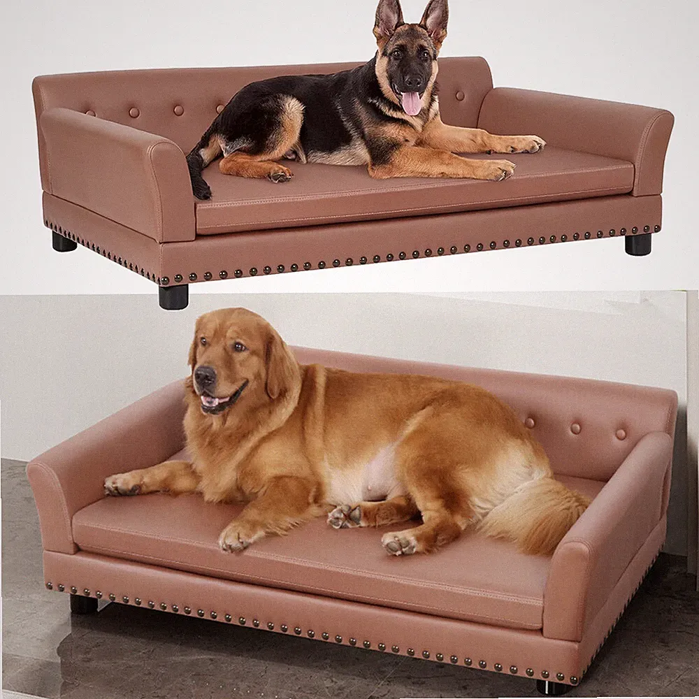 orthopädisches kissen sofa