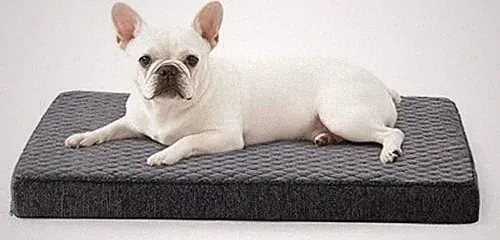 JOEJOY Orthopädisches Hundebett Kleine Hunde, Hundekissen Waschbar Flauschig Hun