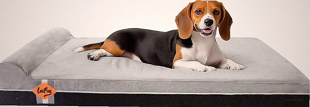 Laifug Orthopädisches Hundebett Memory Schaum Kissen 101x63x