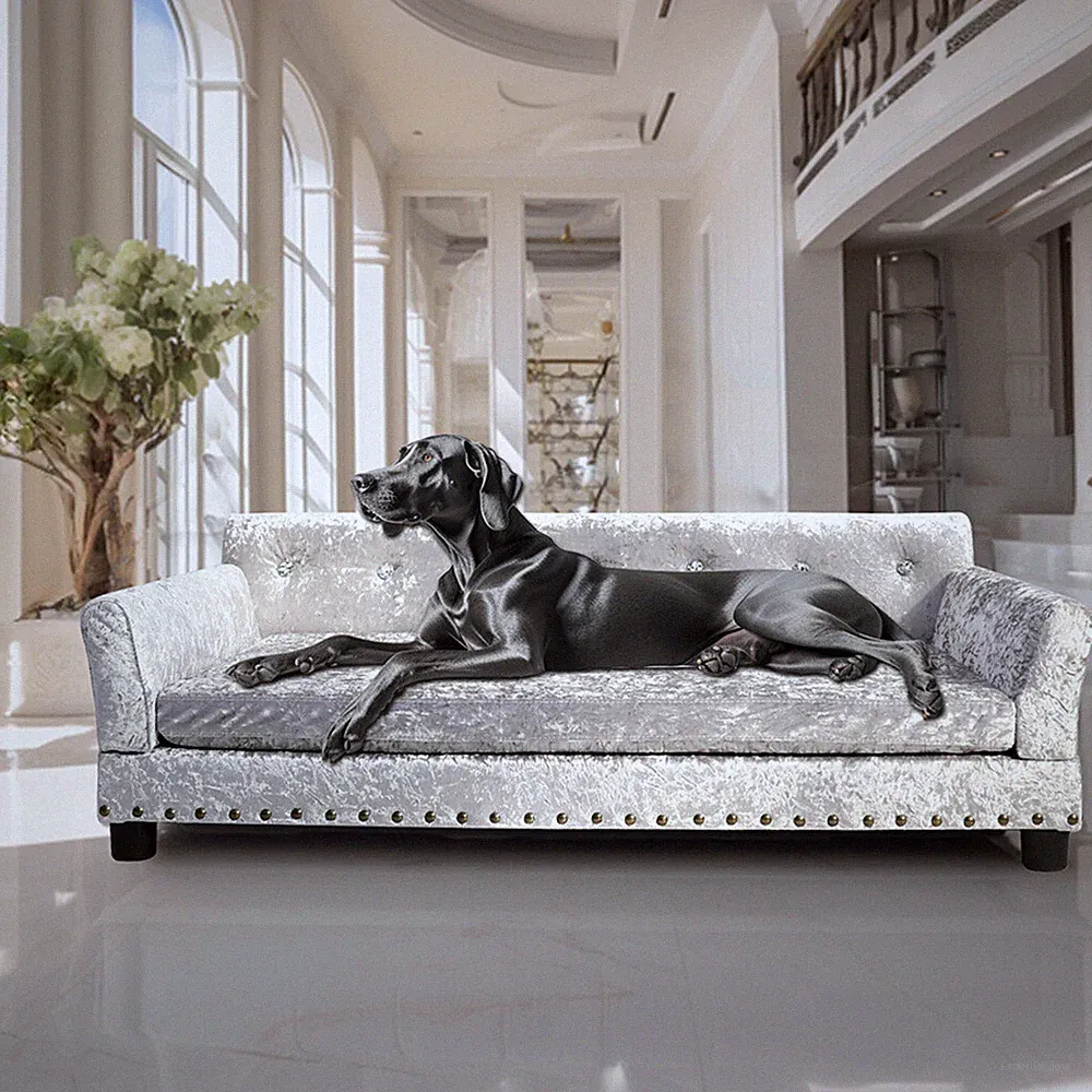 Luxus Samt Hundesofa Erhöhtes Hundebett mit weichem Kissen und Rückenlehne Grau