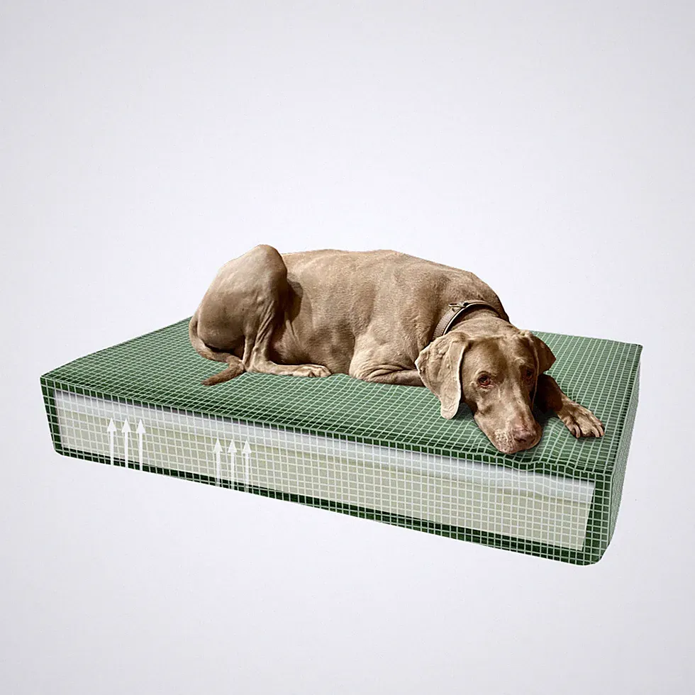 Madison Orthopädisches Kissen Hundebett Velvet Grün S