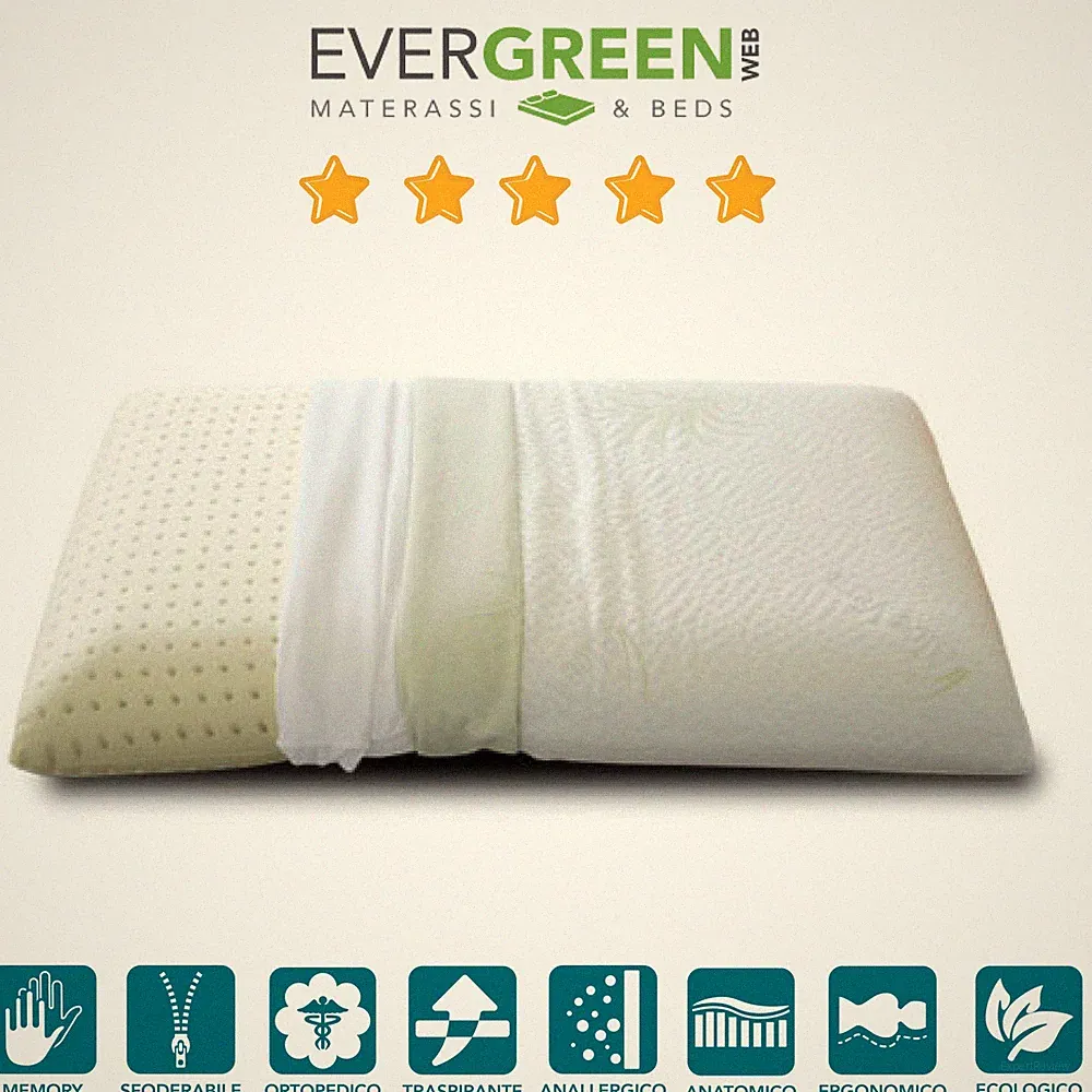 Orthop?disch Visco Kissen aus 100% Viscoschaum und Kissenbezug Aloe 42x72 cm h12
