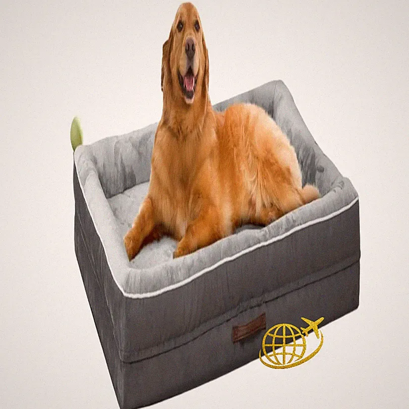 orthopädisches kissen hund