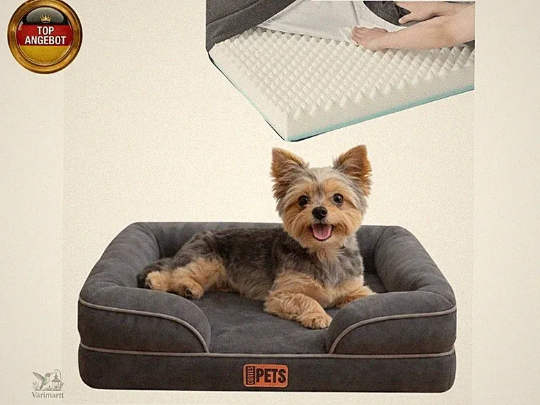 Orthopädisches Hundebett für Kleine Hunde - 60 x 48 x 17 cm - Hundekissen für Kl