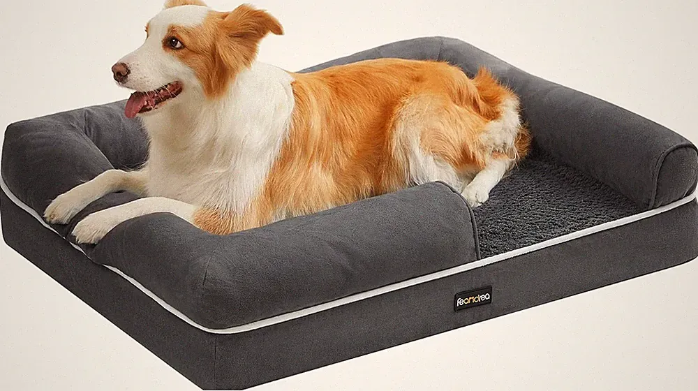 Orthopädisches Hundebett, Hundekissen, Hundekorb, Weiche Polsterung