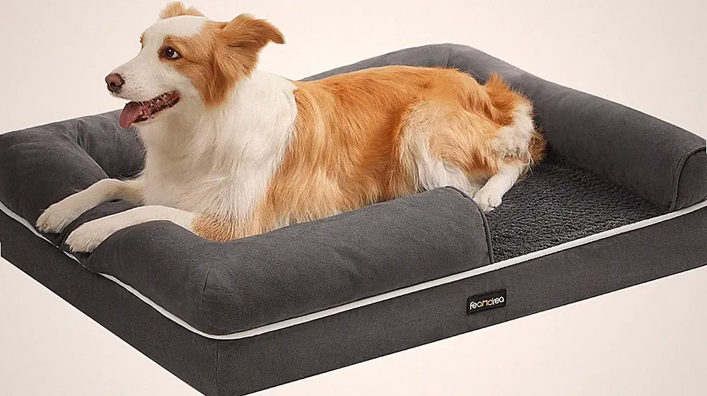 Orthopädisches Hundebett, Hundekissen, Hundekorb, weiche Polsterung, Hundesofa