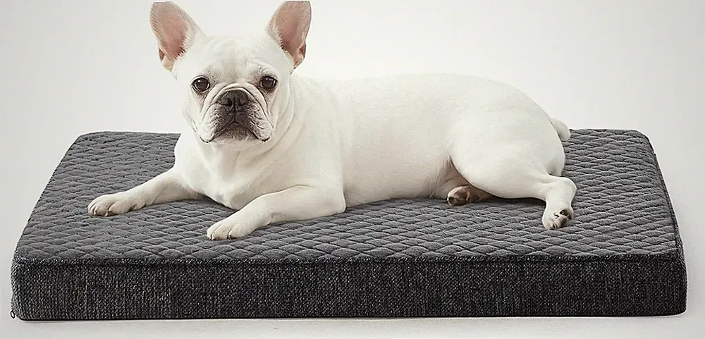 Orthopädisches Hundebett Kleine Hunde, Hundekissen Waschbar Flauschig
