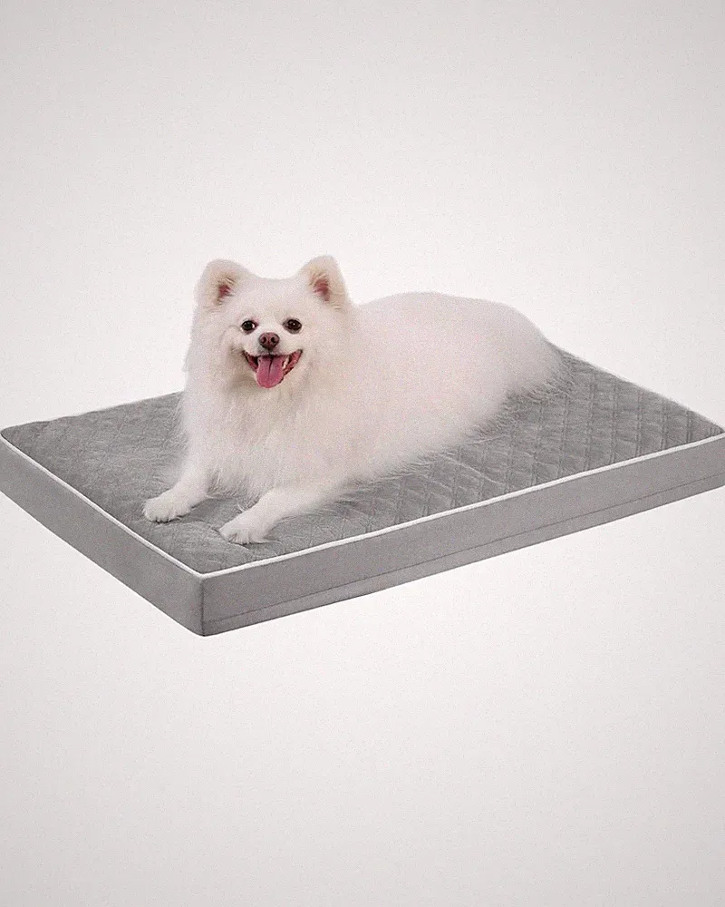 Orthopädisches Hundebett Mittelgroße Hunde, Hundekissen 88x55x7cm, Hundematte...