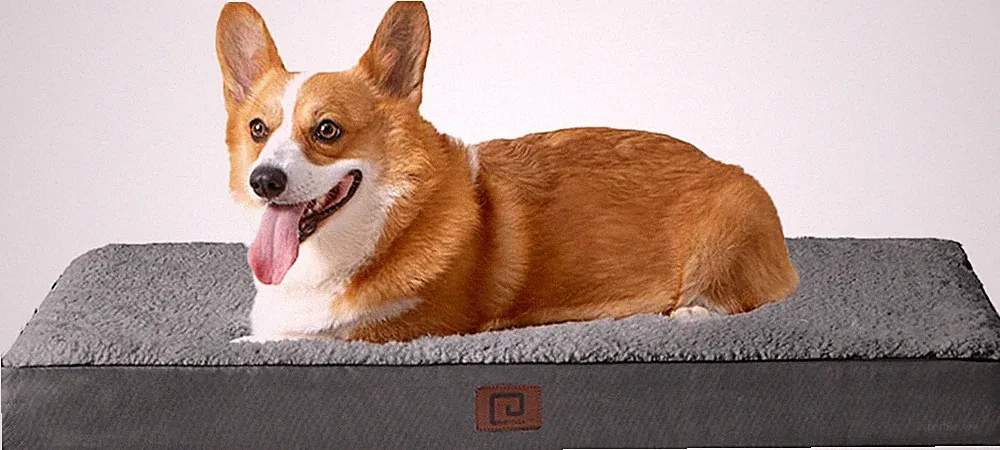 Orthopädisches Hundebett Mittelgroße Hunde, Hundekissen Waschbar Flauschig, Hund