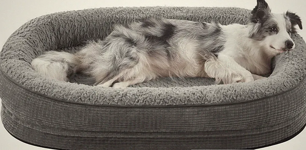 Orthopädisches Hundebett Mittelgroße Hunde, Vierseitiges Nackenrolle Kissen Hund