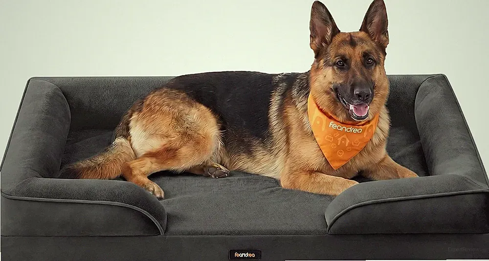 Orthopädisches Hundebett XXL Hundesofa Hundekissen Große Hunde Waschbar
